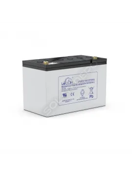 Leoch Jel Akü 100Ah 12V İthal Derin Döngü