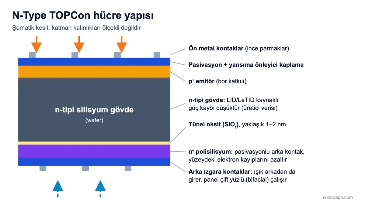 N-Type TOPCon güneş hücresinin şematik kesiti: ön kontaklar, yansıma önleyici kaplama, tünel oksit ve arka kontak katmanları