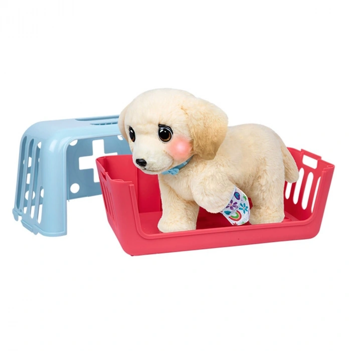 L0100000 LLP Yavru Köpek İyileşiyor - 26679