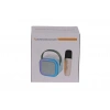 EMR-102 KUTULU 2Lİ KARAOKE MİKROFON