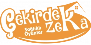 Çekirdek Zeka