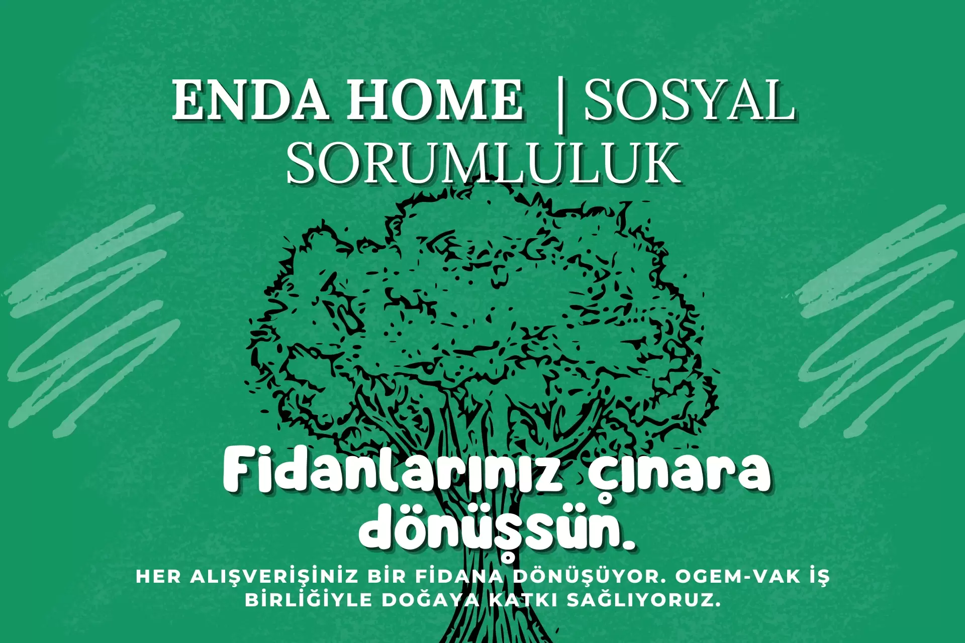 Enda Home ile Alışverişiniz Fidan Olsun | Sosyal Sorumluluk Projemiz
