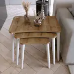 Algan 3lü Zigon Sehpa Modern Beyaz Ahşap Ayaklı Salon Seti Ceviz