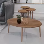 Aspar 4lü Ahşap Ayaklı Salon Seti Zigon ve Orta Sehpa Set Ceviz