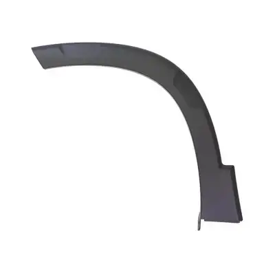 ÖN SOL ÇAMURLUK ÇITASI (DODİK) 98166194XT / RİFTER