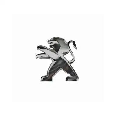 KAPUT ARMASI 9678484880 / 301