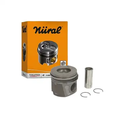 PİSTON SEGMAN STD Ø69 60 1616310880 / NEMO BİPPER