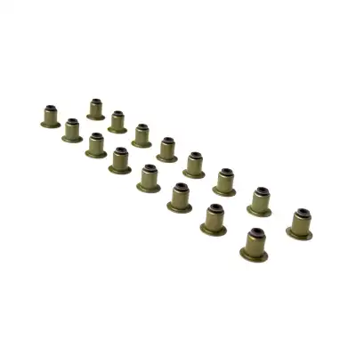 SUPAP LASTİĞİ (KEÇESİ) TAKIM 16V 095663 / C4 C5 JUMPER JUMPY DS5 407 508 BOXER EXPERT