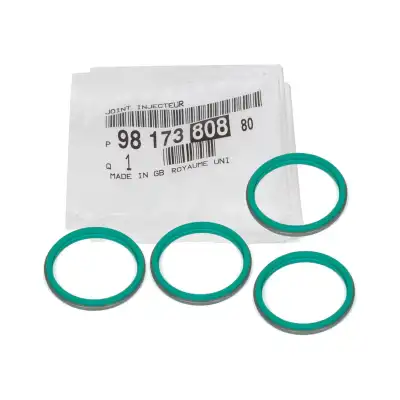 ENJEKTÖR CONTA SETİ 9817380880 / BERLİNGO C3 C4 CELYSEE DS3 DS7 2008 208 3008 301 308 508 PRTNR RFTR