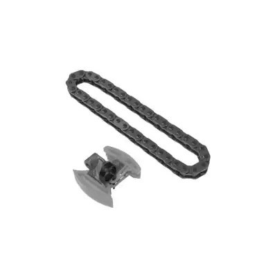 EKSANTRİK ZİNCİR SETİ 2 PARÇA 0816J1 / BERLİNGO C3 C4 C5 JUMPY 206 207 3008 307 308 407 5008 PARTNER