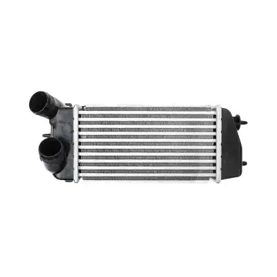 TURBO RADYATÖRÜ (INTERCOOLER) 0384G2 / C3