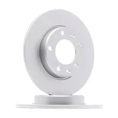 ARKA FREN DİSKİ (AYNASI) TK. 1610761980 / 308