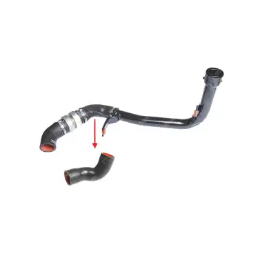 TURBO HORTUMU (BÜYÜK) 1606660380 / JUMPER BOXER