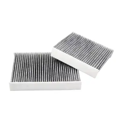 FASE Polen Filtresi (Klima) Karbonlu