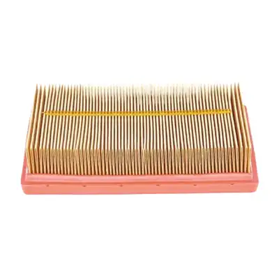 HAVA FİLTRESİ 1612496780 / C1