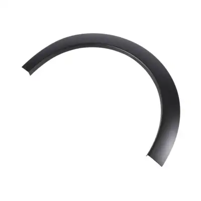 ÖN SAĞ ÇAMURLUK AĞZI ÇITASI (DODİK) 98456015XT / E-C3