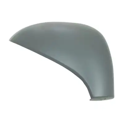 AYNA KAPAĞI SAĞ (ASTARLI) 815292 / 207