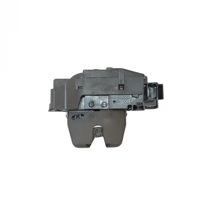 BAGAJ KAPI KİLİDİ 9804762080 / C4 308