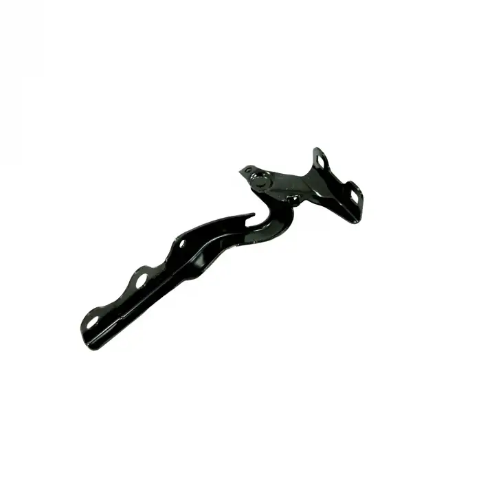 KAPUT SAĞ MENTEŞESİ 9674797180 / CELYSEE 301