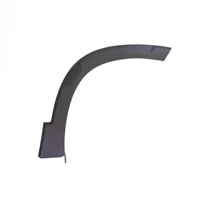 ÖN SAĞ ÇAMURLUK ÇITASI (DODİK) 98166193XT / RİFTER