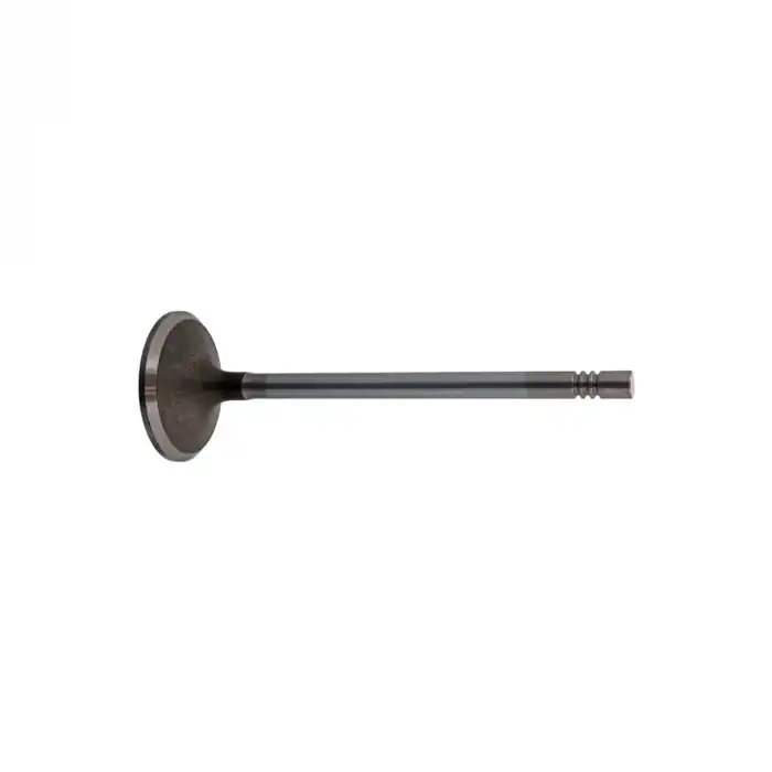 SUPAP TAKIMI 094895 / BERLİNGO JUMPER C4 PİCASSO C5 JUMPY 206 306 406 407 BOXER EXPERT PARTNER