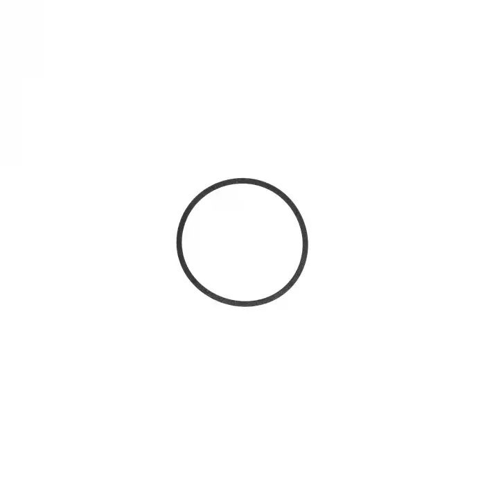 EKSANTRİK MİL ORİNGİ 080739 / C3 PİCASSO C4 2008 207 208 3008 308 508