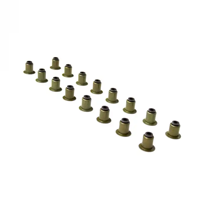 SUPAP LASTİĞİ (KEÇESİ) TAKIM 16V 095663 / C4 C5 JUMPER JUMPY DS5 407 508 BOXER EXPERT