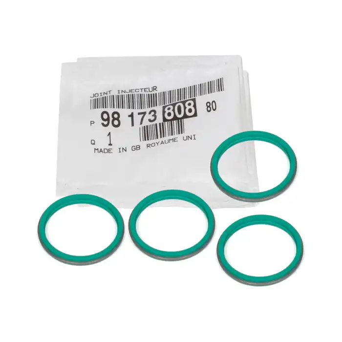 ENJEKTÖR CONTA SETİ 9817380880 / BERLİNGO C3 C4 CELYSEE DS3 DS7 2008 208 3008 301 308 508 PRTNR RFTR