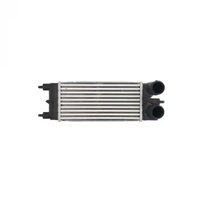 TURBO RADYATÖRÜ (INTERCOOLER) 0384P5 / C5 508