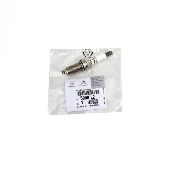 ATEŞLEME BUJİSİ 5960L2 / C1 107