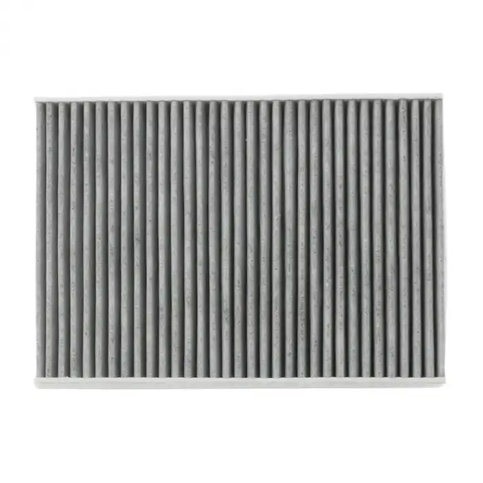 KLİMA POLEN FİLTRESİ KARBONLU 6479K9 / 508