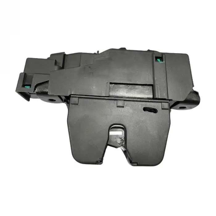 BAGAJ KAPI KİLİDİ 9804762080 / C4 308