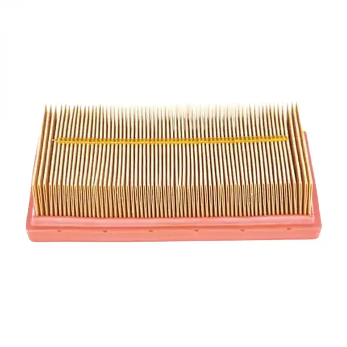 HAVA FİLTRESİ 1612496780 / C1