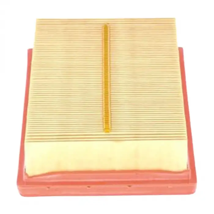 HAVA FİLTRESİ 1612496780 / C1