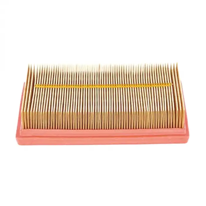 HAVA FİLTRESİ 1612496780 / C1