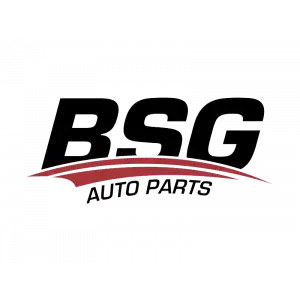 BSG