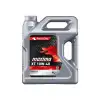 MOTOR YAĞI 10W40 4LT MAXIMA XT 610404 / TÜM PEUGEOT CİTROEN