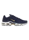 Nike Air Max Plus French Football Federation