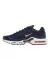 Nike Air Max Plus French Football Federation