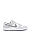 Nıke Dunk Low Lıght Carbon