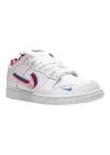 Nike Parra Dunk Low OG