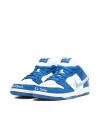 Nike SB Dunk Low x Born x Raised White Blue