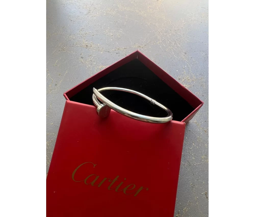 Cartier Çivi Bileklik Taşsız Silver