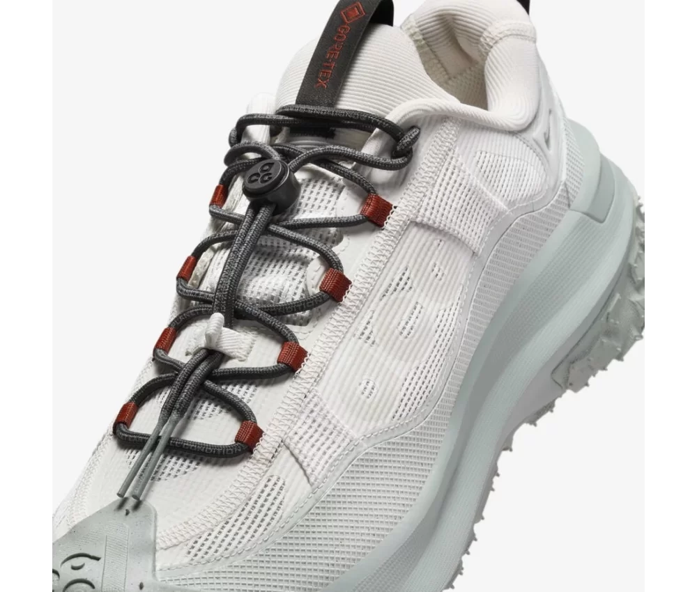 Nike ACG Mountain Fly 2 Low GORE-TEX