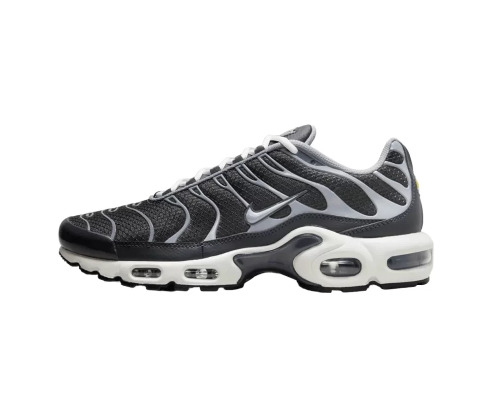 Nike Air Max Plus 3 Iron Gray