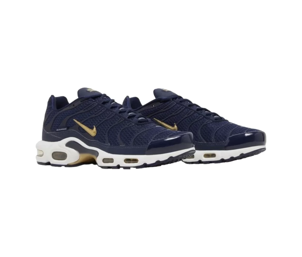 Nike Air Max Plus French Football Federation