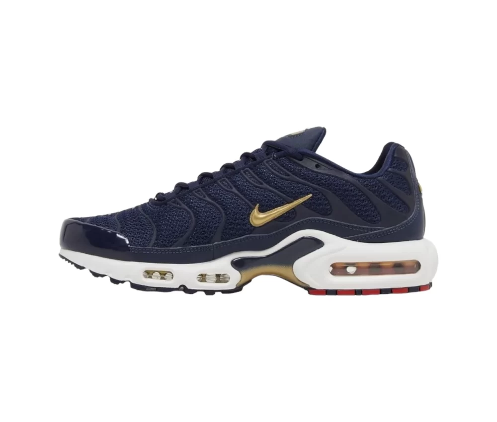 Nike Air Max Plus French Football Federation