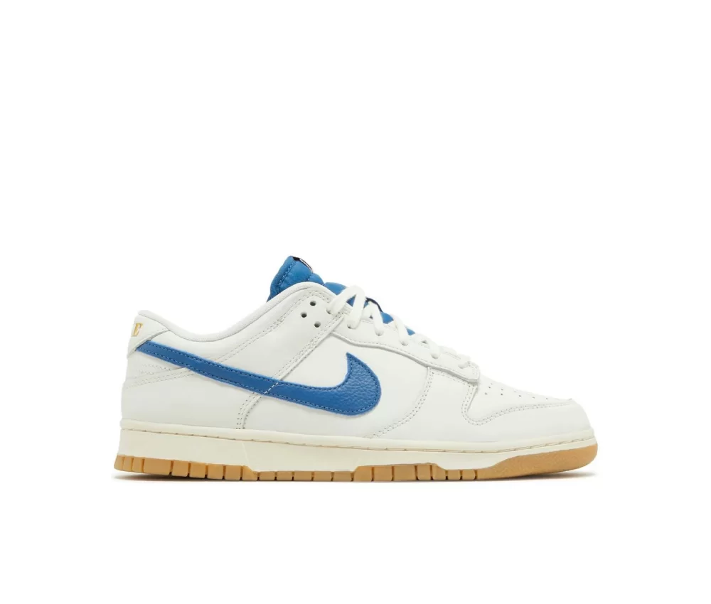 Nıke Dunk Low Se Saıl Game Royal Gum