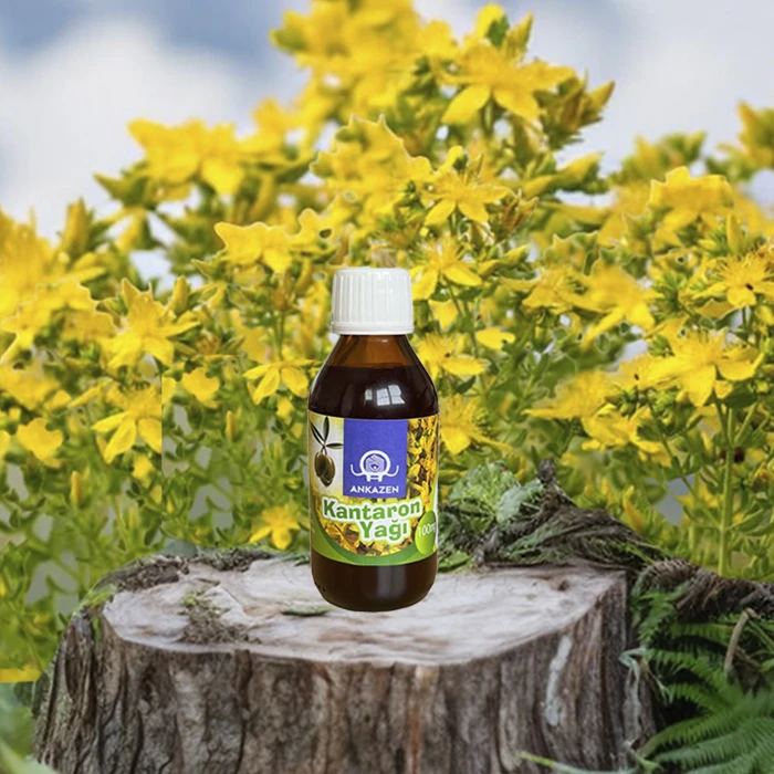 Kantaron Yağı 100 mg