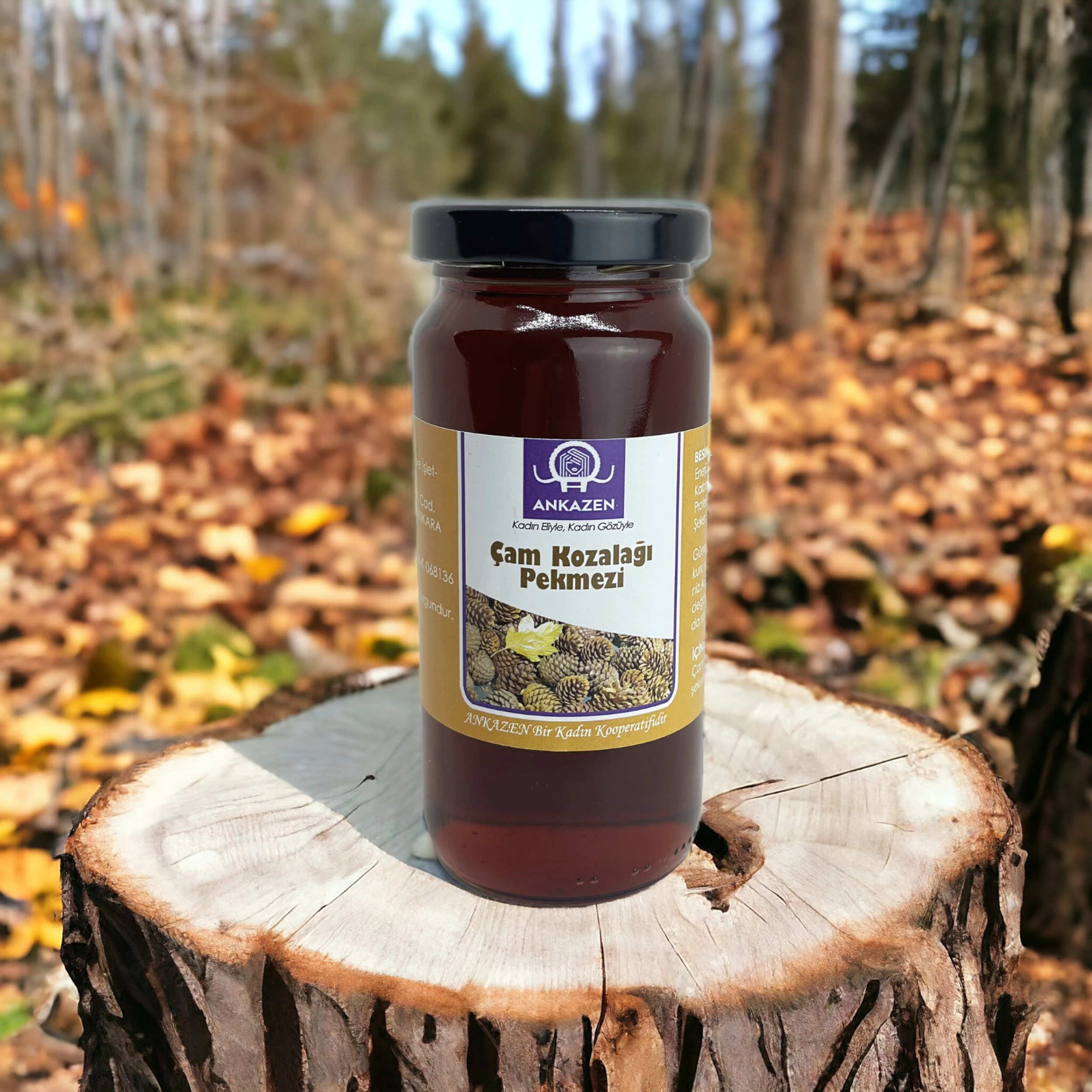 Çam Kozalağı Pekmezi 300 gr